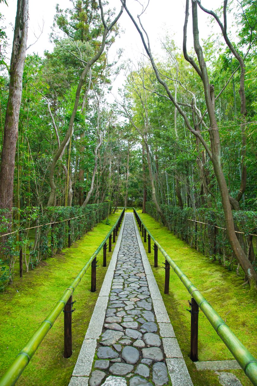 Traditional tea culture and tranquil garden in Japan